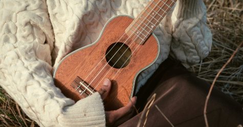 A soprano ukulele
