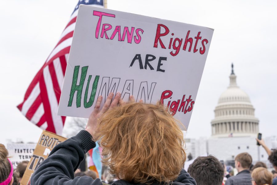 People attend a rally as part of a Transgender Day of Visibility, Friday, March 31, 2023, by the Capitol in Washington. (AP Photo/Jacquelyn Martin, File)