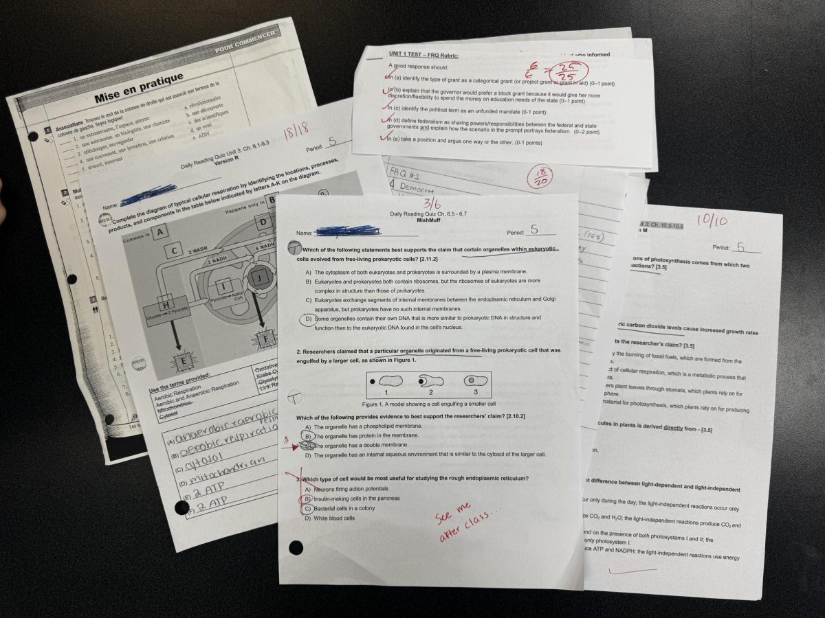 A mix of graded assignments in the formative and summative categories