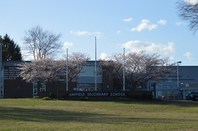 Photo of Hayfield