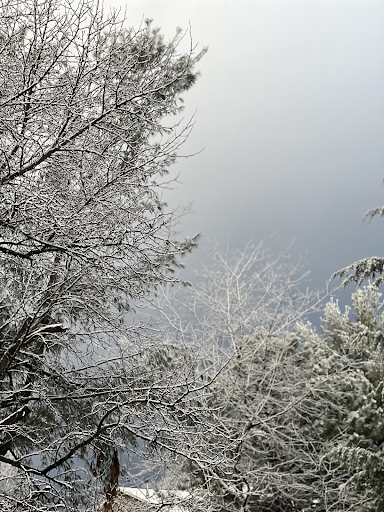 A wonderful winter snowy weather!