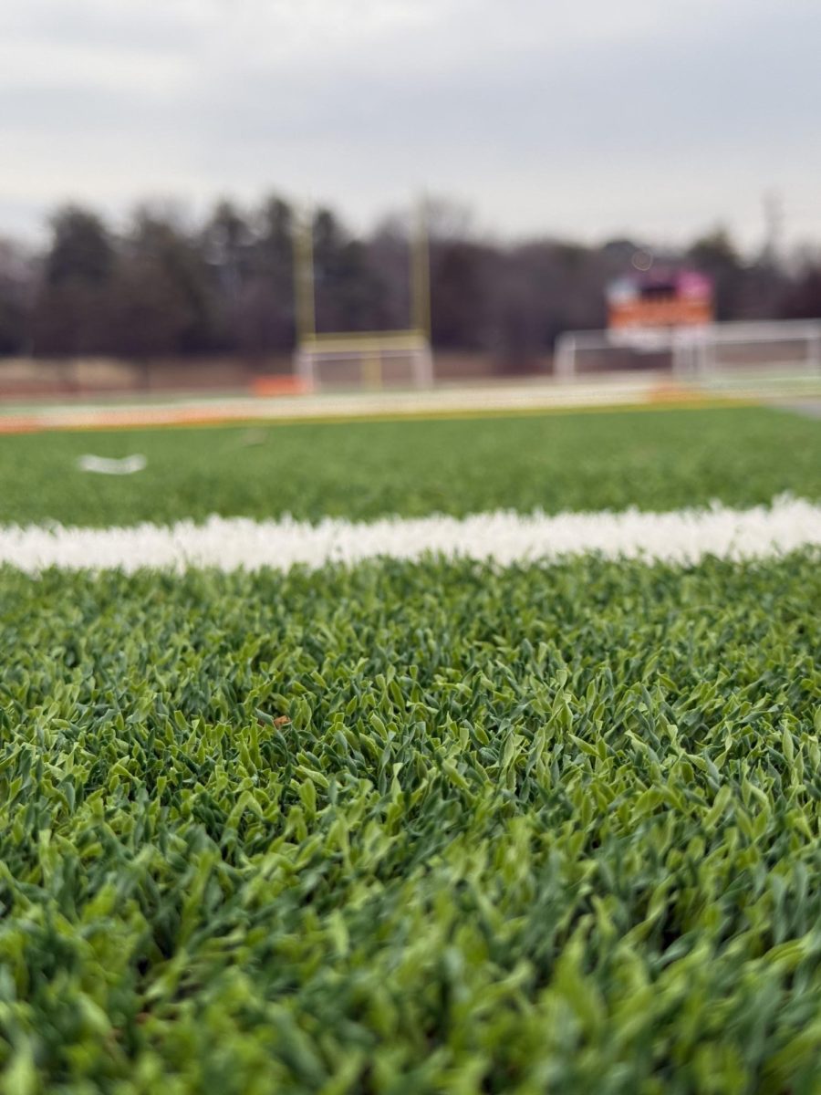 Photo of soccer field at dawn.