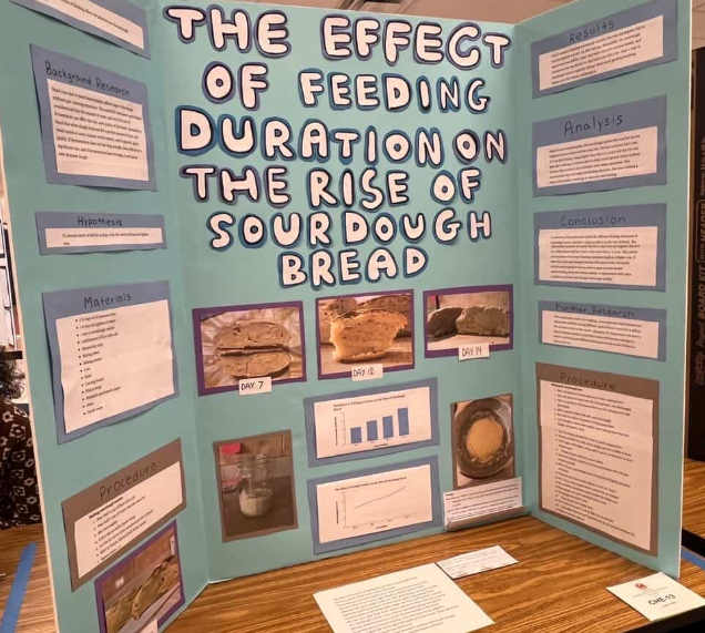 Student exploration of chemistry through the science fair